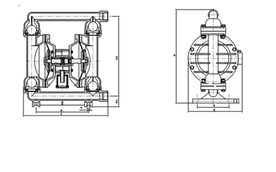 衬四氟气动隔膜泵